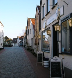 Hausansicht der Schleimöwe